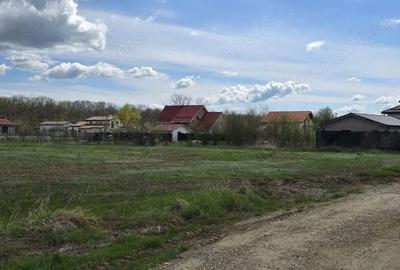 Teren de 3941 mp, în Ciofliceni - 2