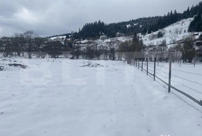 Teren de 4000 mp, în Central - 2