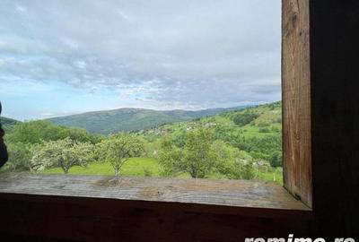 Cabana de 210mp, 2600 mp teren, in Rachitele - 3