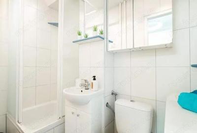Apartament cu o camera de inchiriat zona Medicinei - 3