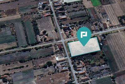 Teren intravilan 6115mp pentru investiții Firiteaz - 6