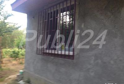 Casă cu 3 camere cu Teren 5000 Mp în Pătlăgeanca - 8