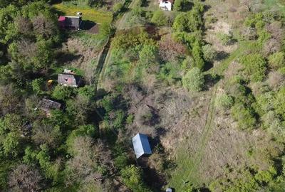 Teren de vis în Stejeriș – utilități, natură, acces rapid! - 1