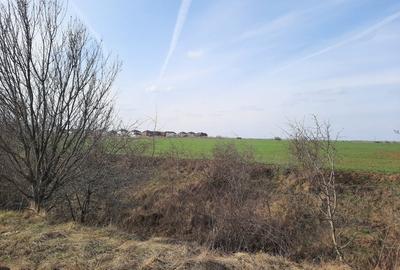 Teren Corbeanca- Ostratu- langa padure - zona cu aer curat si liniste Teren Corbeanca- Ostratu- langa padure - zona cu aer curat si liniste - 3