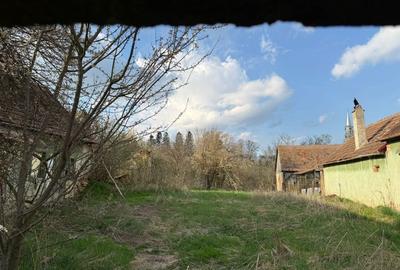 Casă cu 2 camere în Alțina - 1