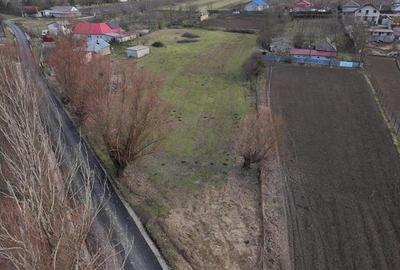 Teren Construcții intravilan de 4931 mp, în Frecăței - 5