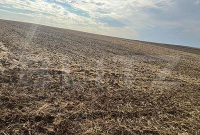 Teren de vanzare, 3.742 mp, zona Ghercesti - 2