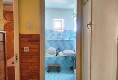 Apartament cu 3 camere de vanzare in zona Vitrometan - 11