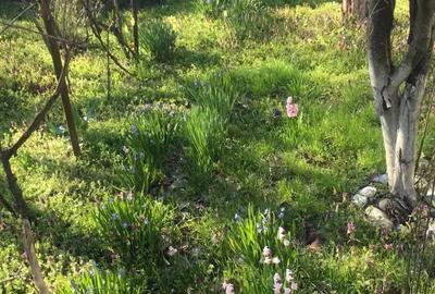 Casă cu 3 camere în Plătărești - 3