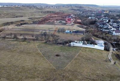 Teren 2925 mp comuna Mitocu Dragomirnei - 3