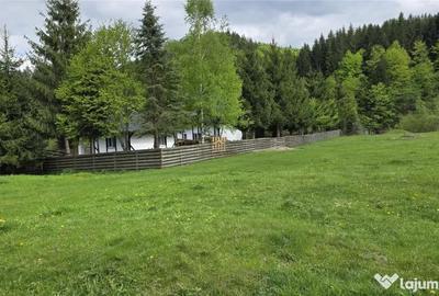 Casă cu 7 camere cu Teren 2000 Mp în Mălini - 13