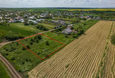 FRUMUSANI - POSTAVARI, TEREN 1500 MP, FRONT 30 M ! - 9