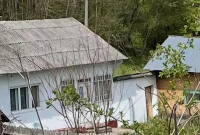 Casă cu Teren 2400 Mp în Grigorești - 3