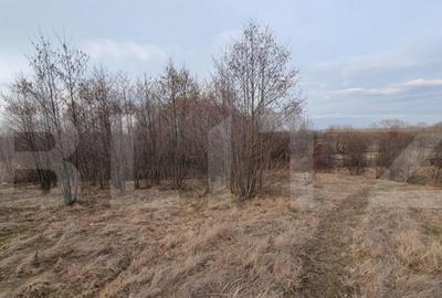 Teren de 6133 mp, în Central - 13