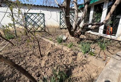 Casă cu Teren 286 Mp în Central - 6