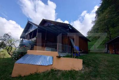 Casă cu 3 camere cu Teren 25000 Mp în Năsăud - 12