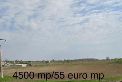 Teren de 4500 mp, în Grădiștea - 2