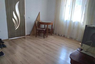 Casa de vanzare recent renovata strada Stefan Octavian Iosif - 8