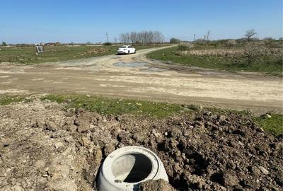 Spațiu comercial, în Moșnița Nouă - 2