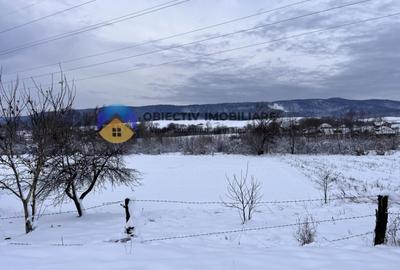 Teren Com. Negresti- jud. Neamt - 10