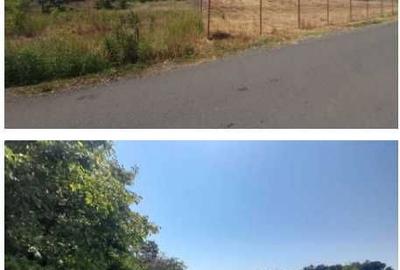 Teren de 5000 mp, în Balotești - 2