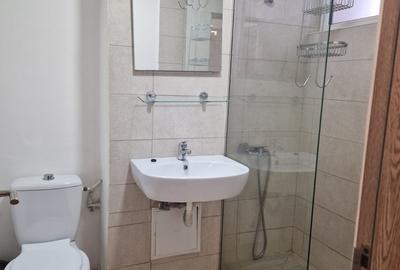 Dristor, Mall Park Lake - 4