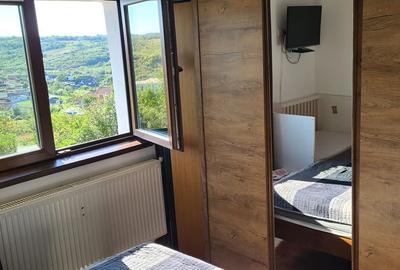 Casă cu 2 camere cu Teren 1500 Mp în Paleu - 13