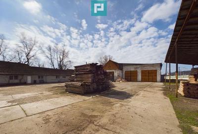 Fabrica de prelucrare a lemnului ?i palului - 20