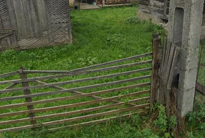 Casa cu teren 800 mp - 4