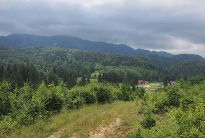 Teren intravilan Brasov zona Poiana Aviatorilor - 3