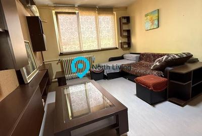 Apartament cu 3 camere semidecomandat în Ozana - 9