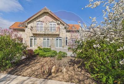 Proprietate specială, de 608 mp, în Mogoșoaia - 1