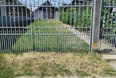 Casă cu 5 camere în Tiream - 4