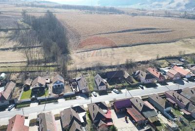 Casă cu 3 camere cu Teren 1163 Mp în Nord - 10