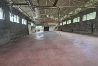 Spațiu industrial, de 540 mp, în Nord-Vest - 9