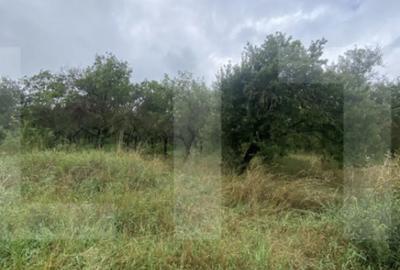 Teren de 5150 mp, în Simeria - 4