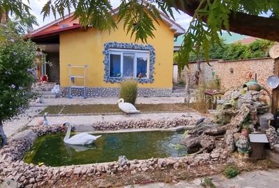 Casa parter cu teren de 1400 mp in Bariera Valcii aproape de drumul expres - 19