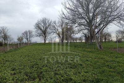 Casă de vânzare în satul Roșia cu vedere panoramică spre Munții Făgăras - 3