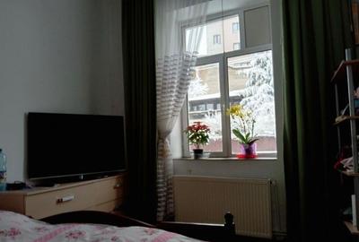 Vanzare vila zona Eminescu - Vasile Lascar | compusa din 3 apartamente  | - 6