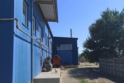 HALA ideala pentru PRODUCTIE ALIMENTARA, Poiana, Ovidiu - 827 mp, teren 4066 mp - 16