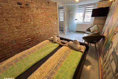 Garsonieră în Cristian - 9