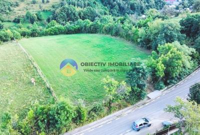 TEREN intravilan  3511 mp - BĂLȚĂTEȘTI - 8