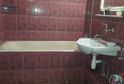 Apartament cu 2 camere decomandat în Teilor - 8