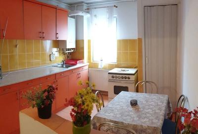 Apartament cu 2 camere semidecomandat în Lotrioara - 8