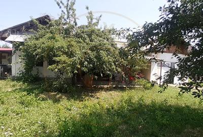 Casa Podul Brosteni- Arges! - 1