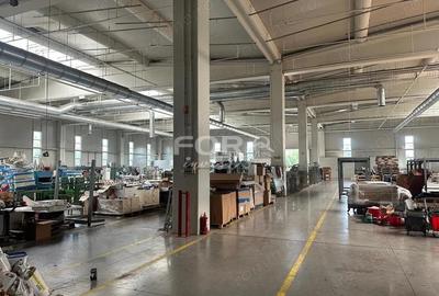 Hala industriala 4700 mp de inchiriat in zona Oncea Oradea - 3