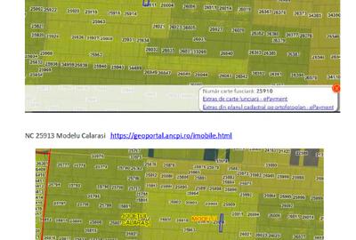 Teren agricol extravilan de 132658 mp, în Modelu - 8