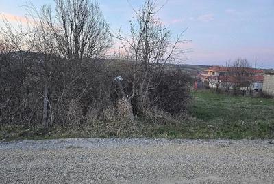 Teren de 1000 mp, în Dealuri Oradea