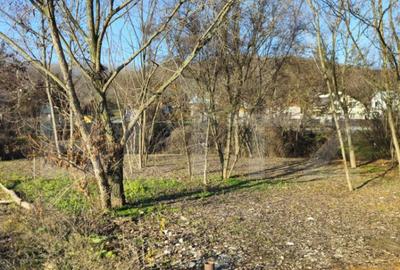 Teren intravilan 738 mp, zona Viforata, Comision 0 - 8