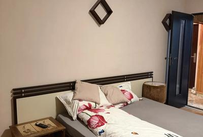 Apartament cu o camera Garsoniera - 8